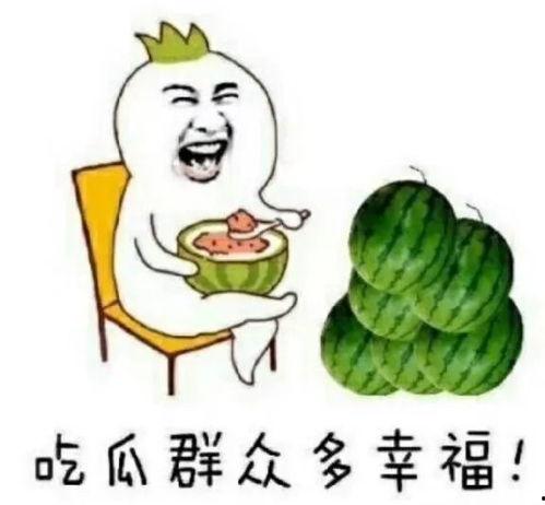 四毛吃瓜,揭秘娱乐圈的甜蜜与苦涩