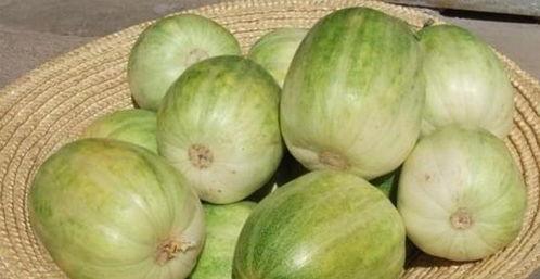 辐射瓜可以吃吗