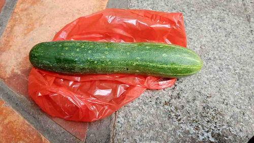 现在什么瓜可以吃,盘点时下最受欢迎的夏日瓜类美食