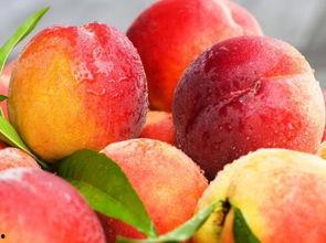 女人做梦见吃土瓜,女人梦中品味土瓜的神秘寓意