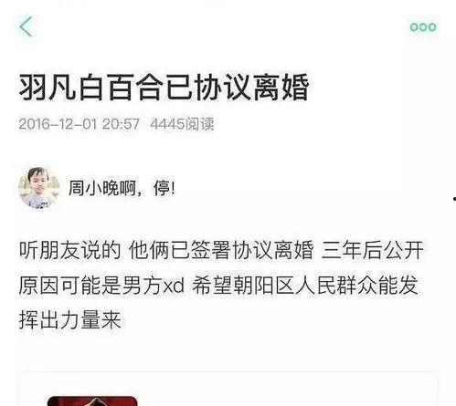 贵圈吃瓜音乐,揭秘贵圈幕后风云