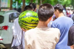 别人结婚我吃瓜,围观明星甜蜜婚礼瓜