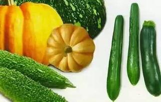 总是吃瓜,揭秘娱乐圈那些吃瓜群众的狂欢