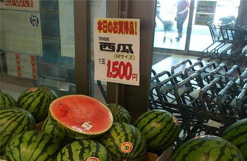 美国禁令全球吃瓜,国际社会热议“吃瓜”现象