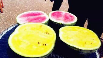 烟台吃瓜爆料最新,揭秘娱乐圈幕后真相