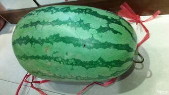 云浮吃大瓜,大瓜盛宴，尽享地方特色