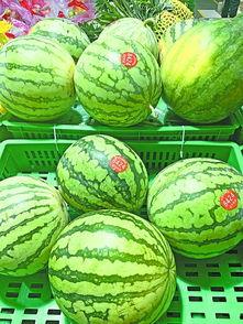 武汉吃瓜直播,一场别开生面的网络盛宴