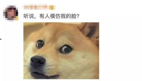 微笑吃瓜变狗头,网络表情的演变与趣味