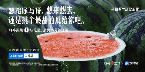 表达吃瓜的句子,揭秘吃瓜群众的趣味生活