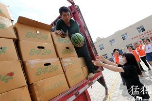 司机瓜地吃瓜,司机边行边食瓜的悠闲时光